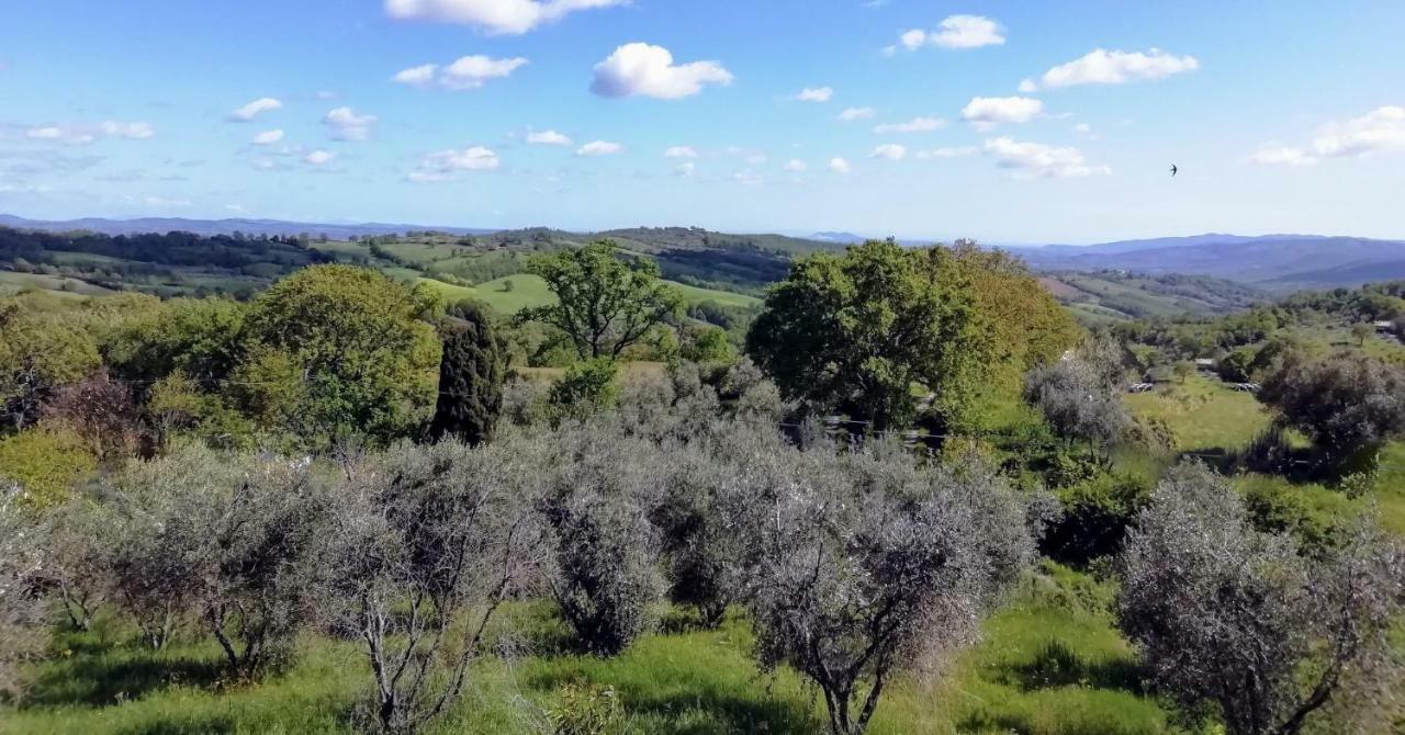 B&B Maremma'S Dream Catabbio Exterior photo