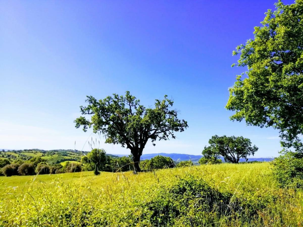 B&B Maremma'S Dream Catabbio Exterior photo